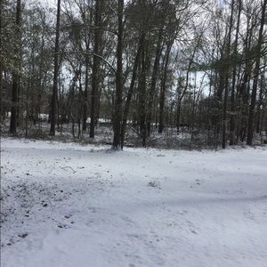 Meet your Posher, Carri